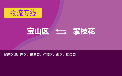 上海到攀枝花物流专线-宝山区至攀枝花货运公司一切为您着想，全力服务