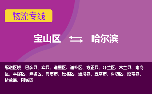 上海到哈尔滨物流专线-宝山区至哈尔滨货运公司一切为您着想，全力服务