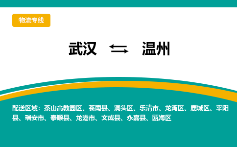 武汉到温州物流专线-高效便捷的武汉至温州货运公司