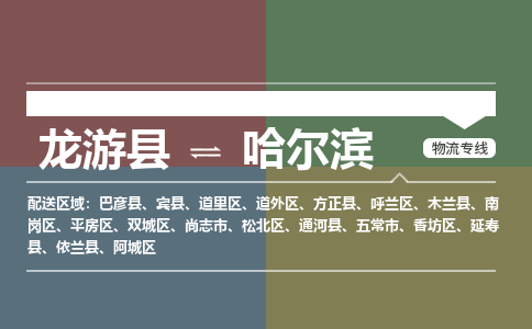 龙游到哈尔滨物流公司|龙游县到哈尔滨货运专线|安全性高