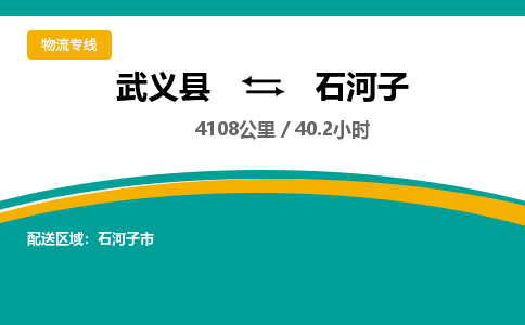 武义到石河子物流公司-武义县到石河子货运专线|强力推荐